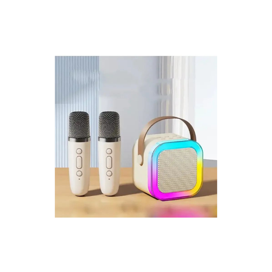 Portable K12 Bluetooth Speaker with two wireless mics and control panel